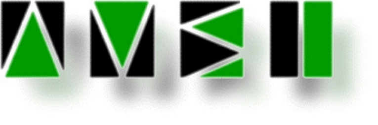 AVSI Ltd. Logo
